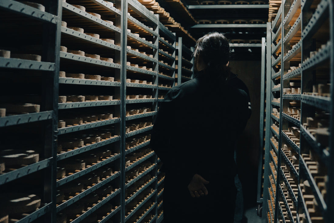 A visit to the Source: Our Trip to Korea to Meet Our Nuruk Maker